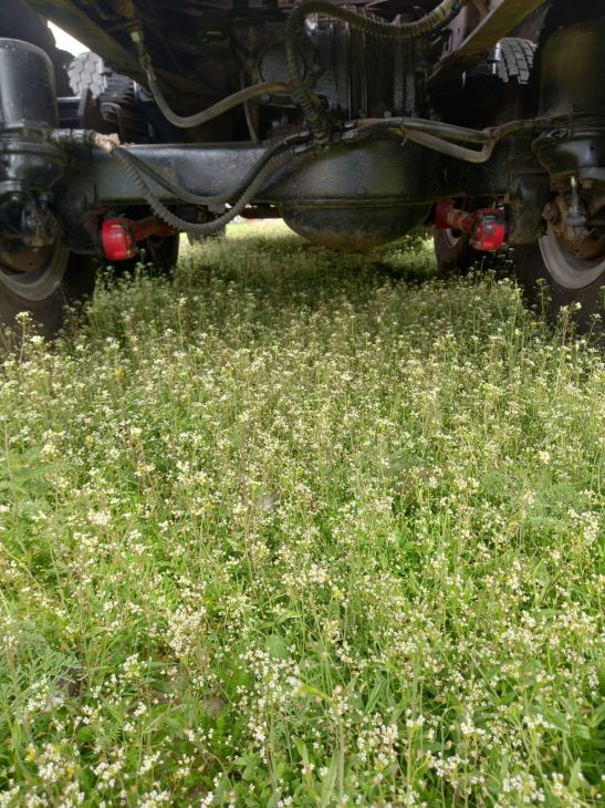 КаМаЗ 53 5320 1978 Саратов Фотография 6